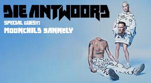 לילה במוזיאון 