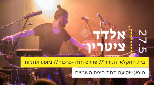 אלדד ציטרין
