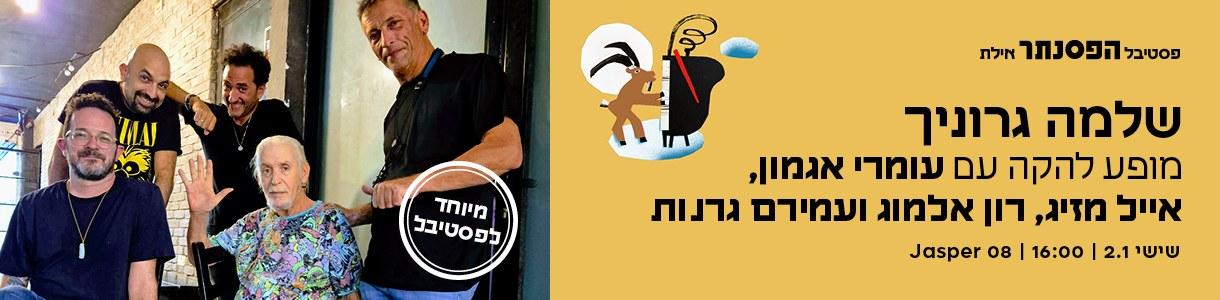 שלמה גרוניך